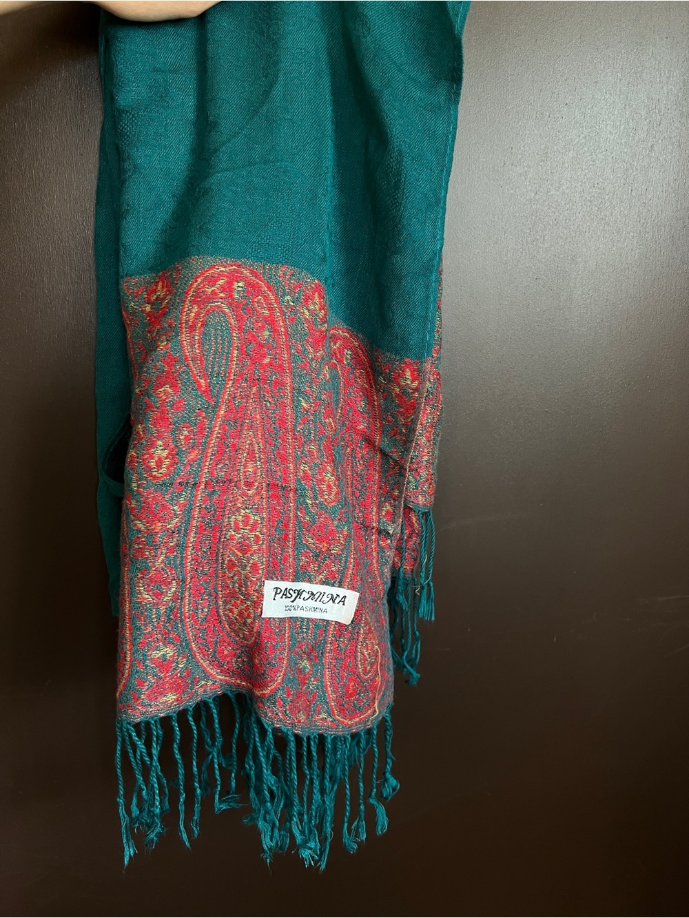 pashmina Teal Scarf with Red Paisley Border